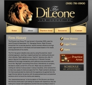 The DiLeone Group - About