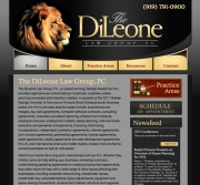 The DiLeone Group - Home Preview
