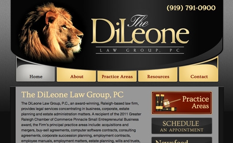 The DiLeone Group - Home Preview