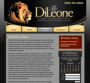 The DiLeone Group - Practice Area
