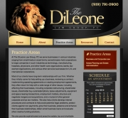 The DiLeone Group - Practice Area