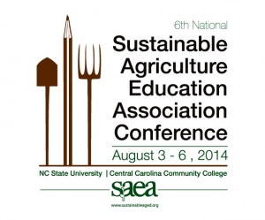 SAEA 2014 Conference logo